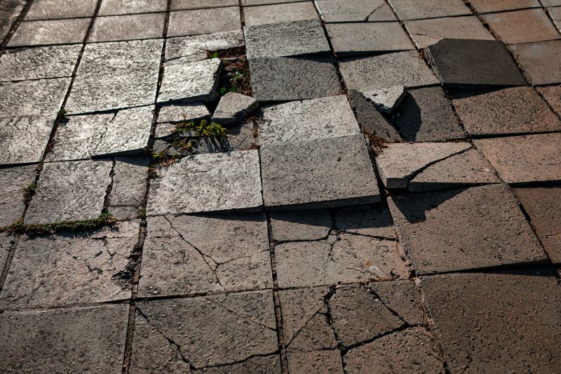 Spring Paver Repair